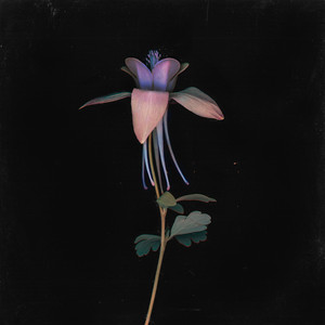 五十岚しのぶ熟女交尾
