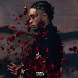 五十岚しのぶ熟女交尾
